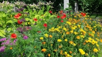 Garten-Erlebniswelt für Kinder