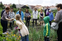 Gang durch den Bamberger Sortengarten