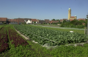 Grün für eine lebenswertere Stadt